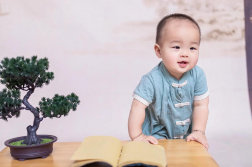 沂源可爱的企鹅宝宝